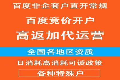 百度竞价推广运营实战技巧与经典案例剖析